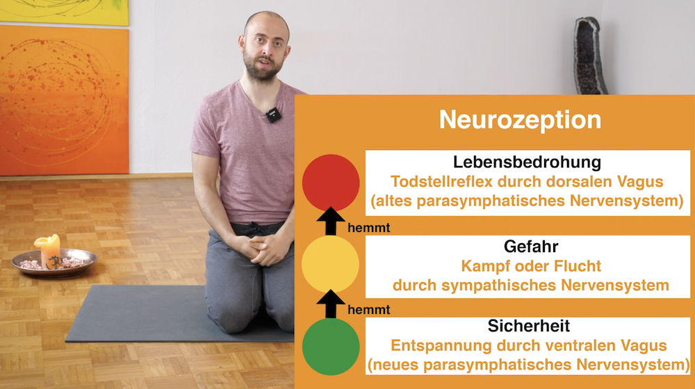 Online Kurs Entspannung, Online Entspannung lernen, Online Kurs Verspannungen lösen, Online Kurs Spannungen abbauen, Parasympathikus aktivieren, Regeneration, Erholung