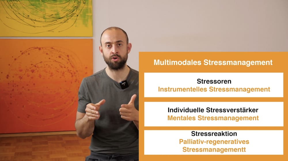 Online Yoga Kurs, mit Online Yoga Videos lernen für Anfänger, Einsteiger, Neulinge, Beginner