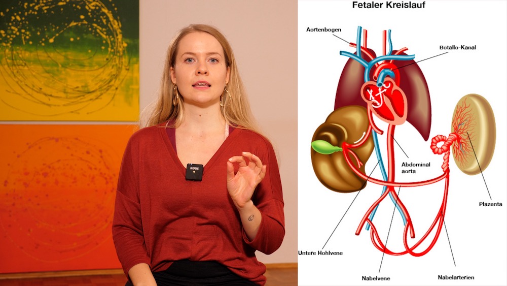 Online Yoga Kurs in der Schwangerschaft, Yoga Videos für Schwangere, Online Yoga Kurs zur Geburtsvorbereitung